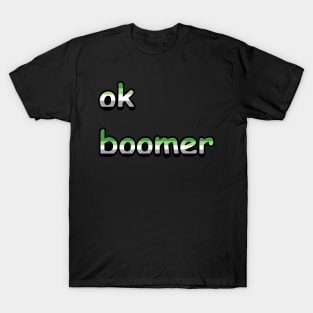 ok, boomer: Aromantic Edition T-Shirt